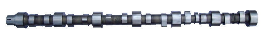 6CT