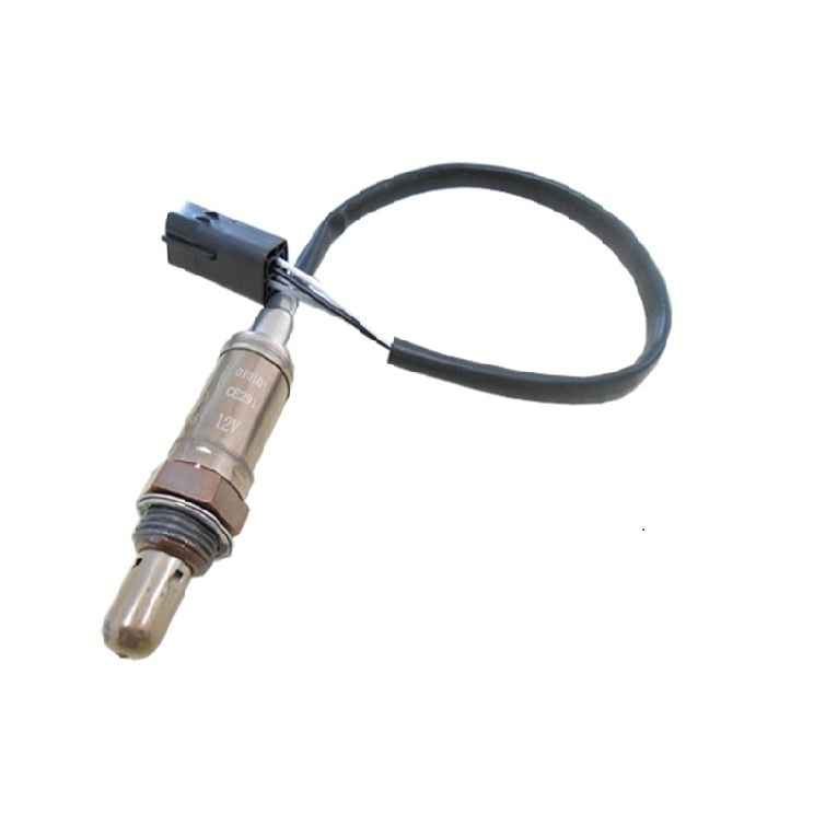 Oxygen Sensors